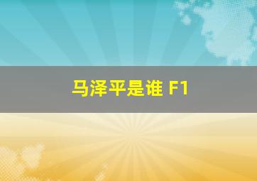 马泽平是谁 F1